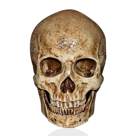 Totenkopfstatue<br> Alter Totenkopf 15 cm