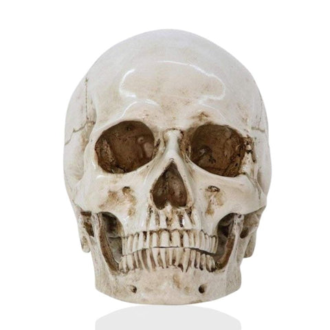 Totenkopfstatue<br> Schädel 16 cm